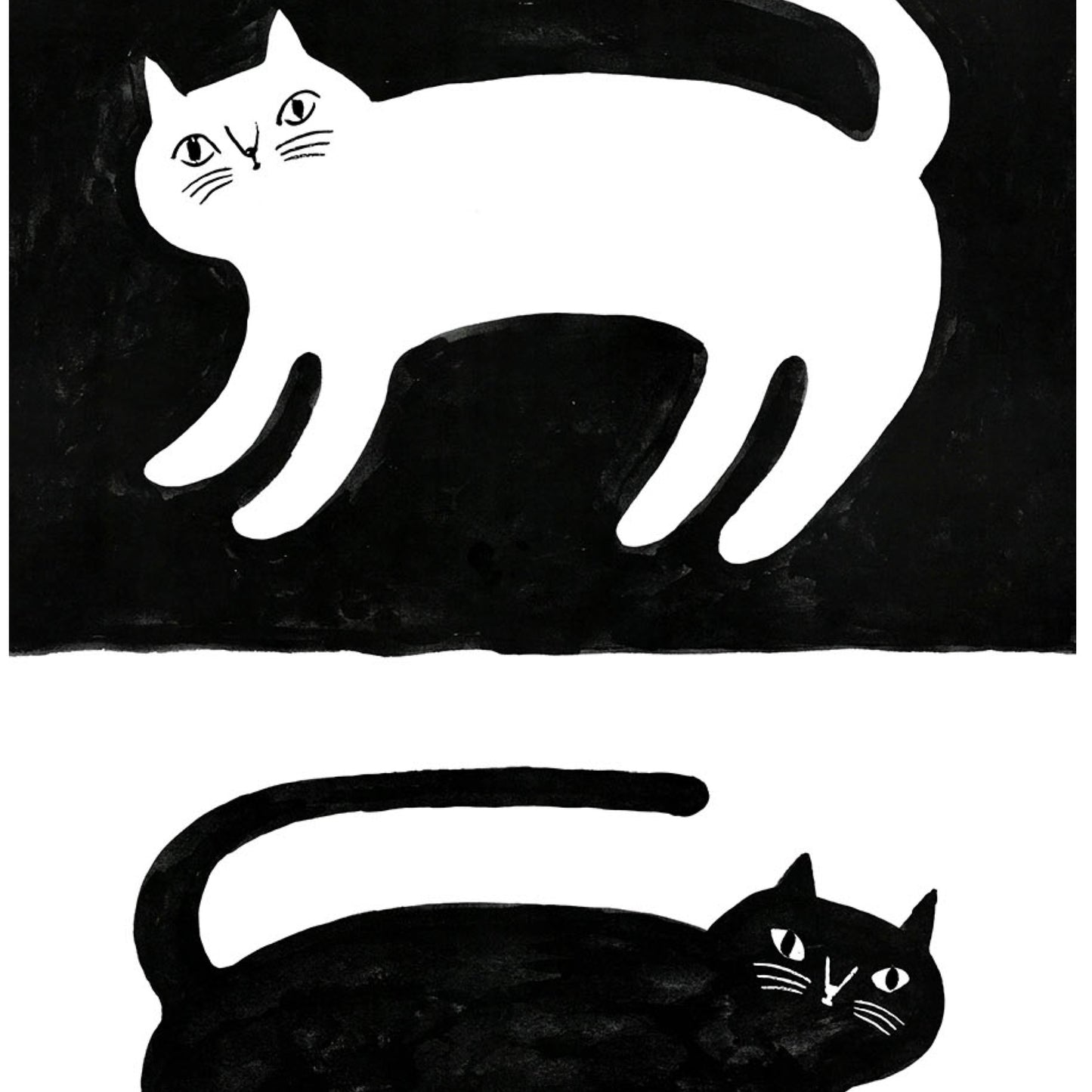 "Story of cats" - Kuro